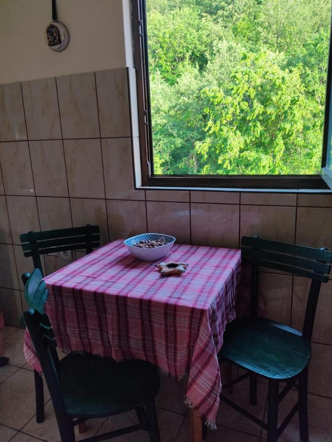 Apartmani Jana 比耶洛波列 外观 照片