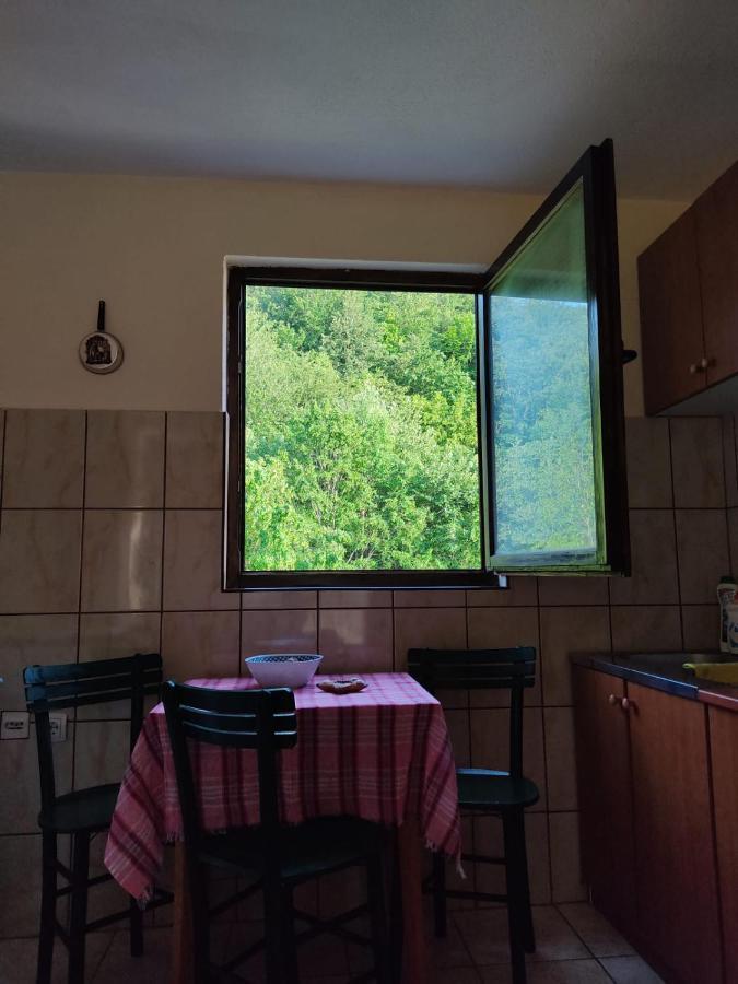 Apartmani Jana 比耶洛波列 外观 照片